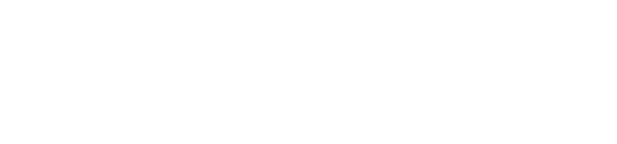 Wycliff Logo weiss